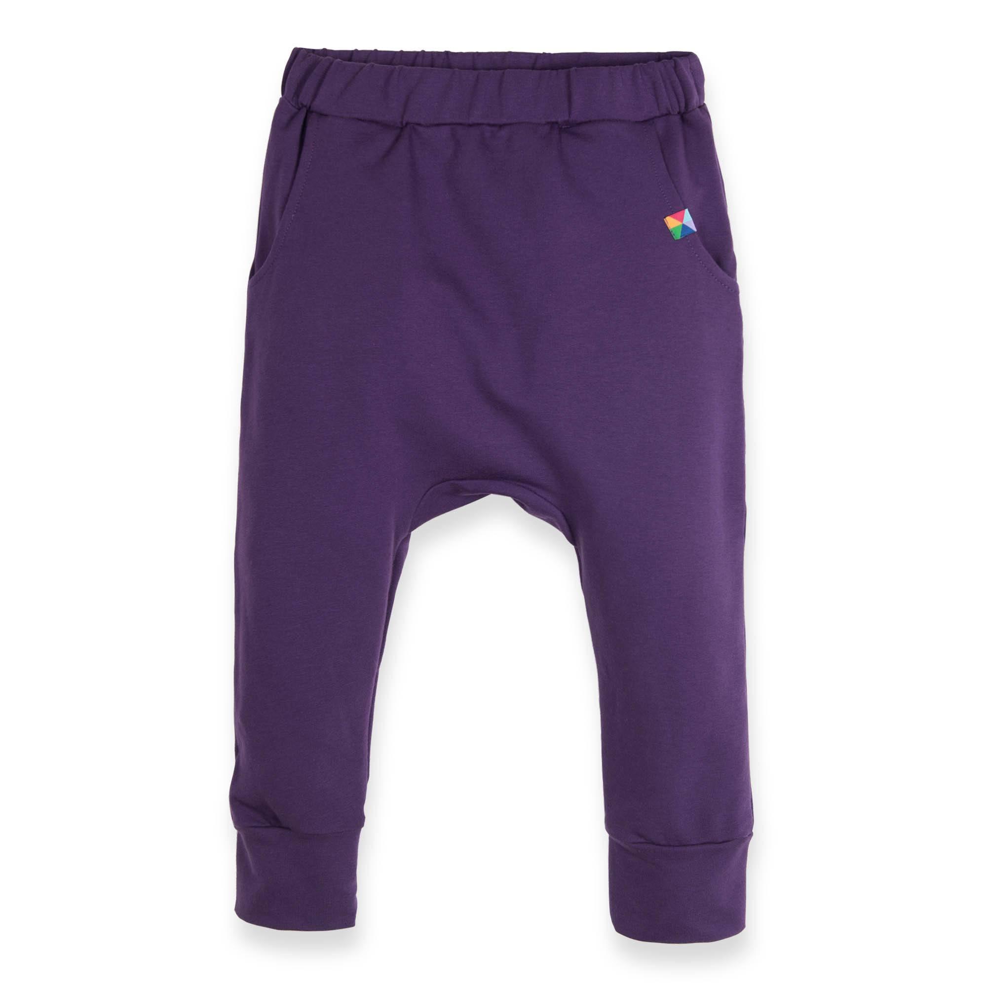 Violet baggy pants