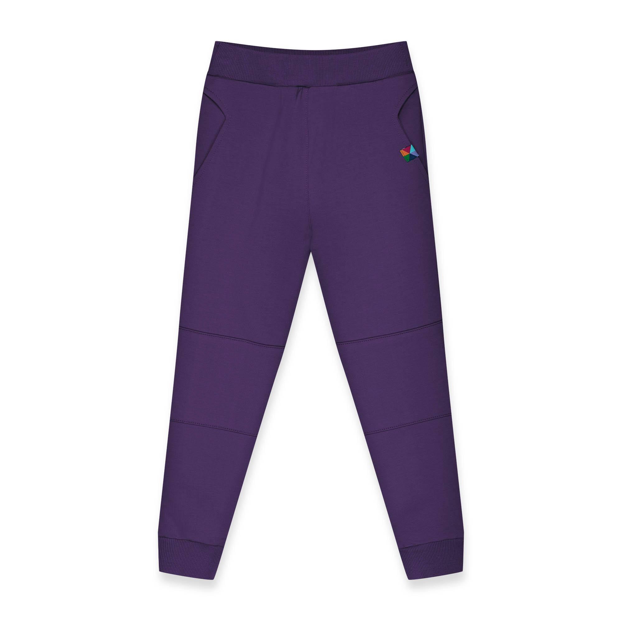 Violet reinforced pants