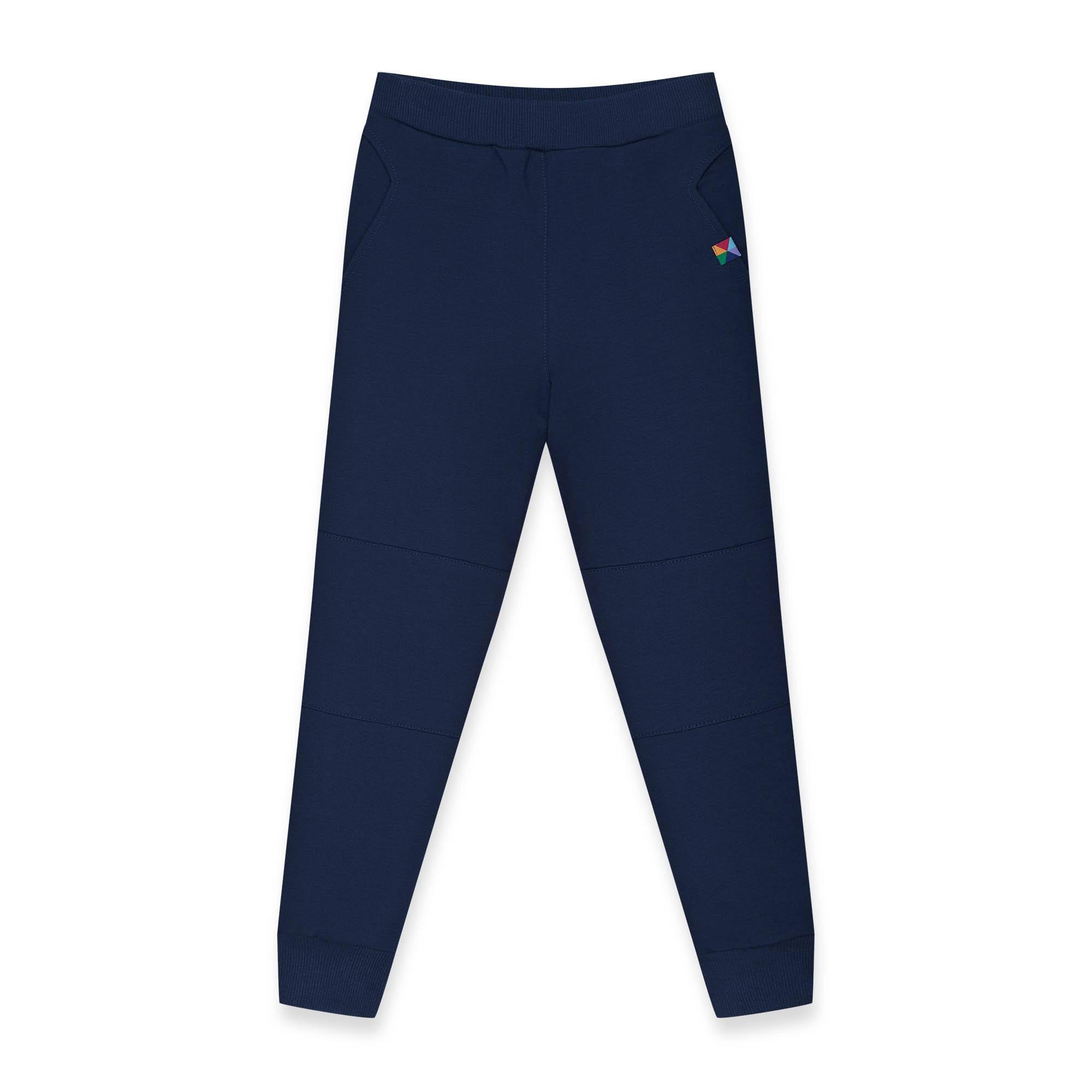 Navy blue reinforced pants