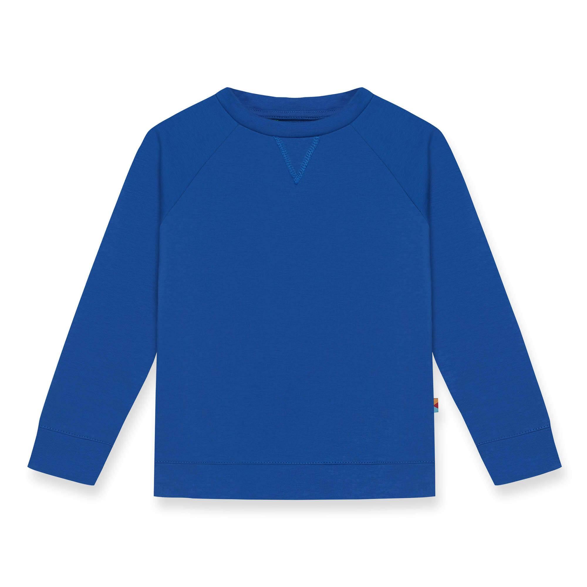 Blue pullover sweatshirt