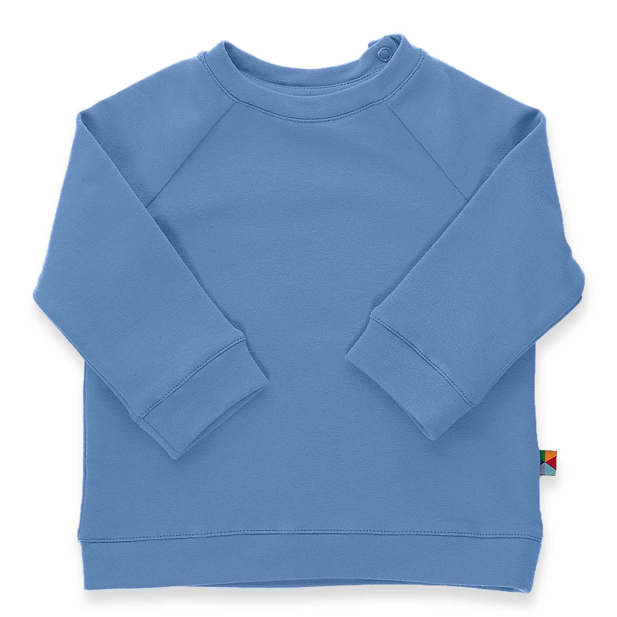 Sky blue pullover sweatshirt Baby