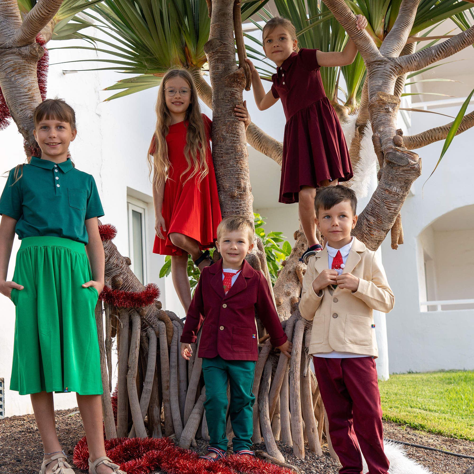 Burgundy polo dress