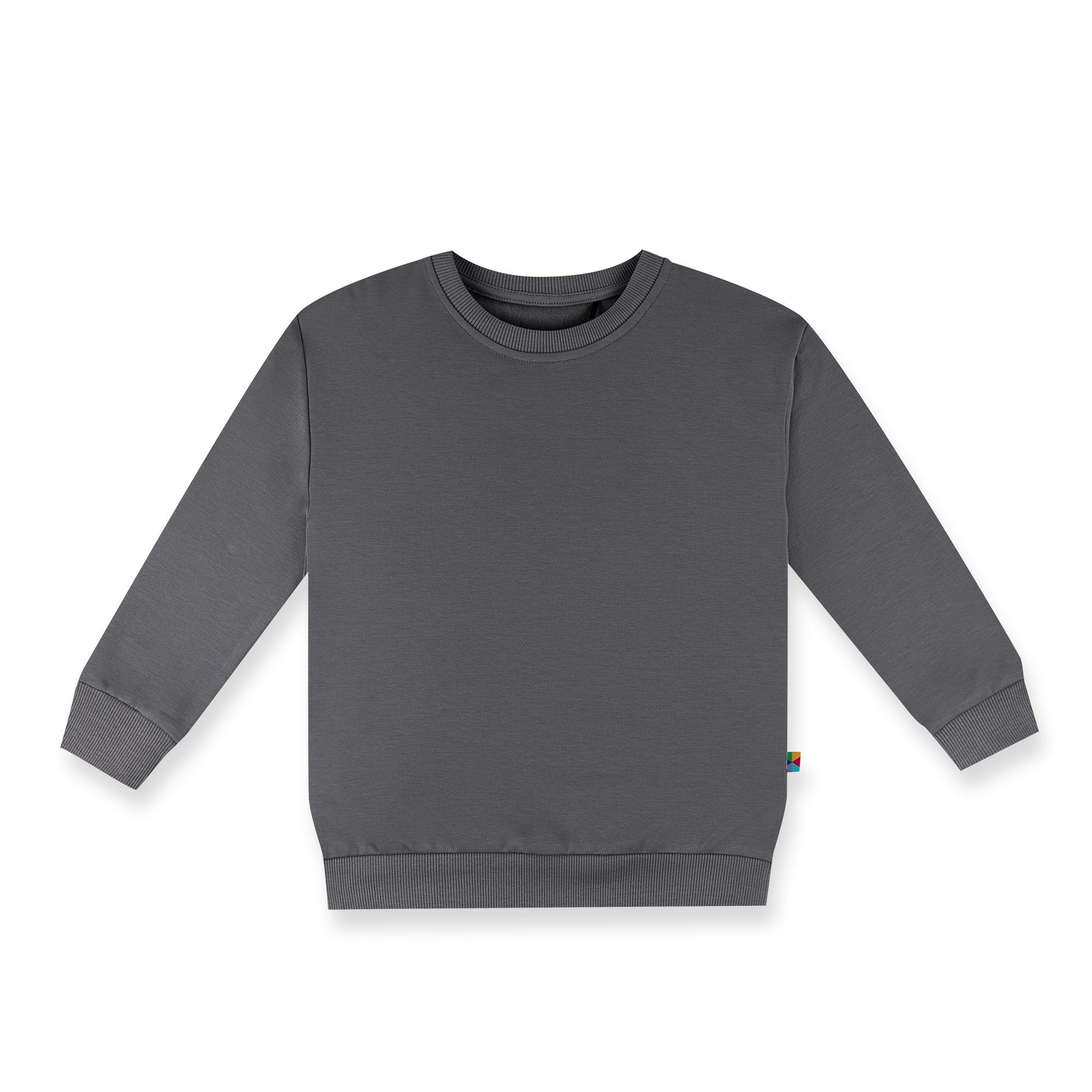 Graphite fleece-lined sweatshirt