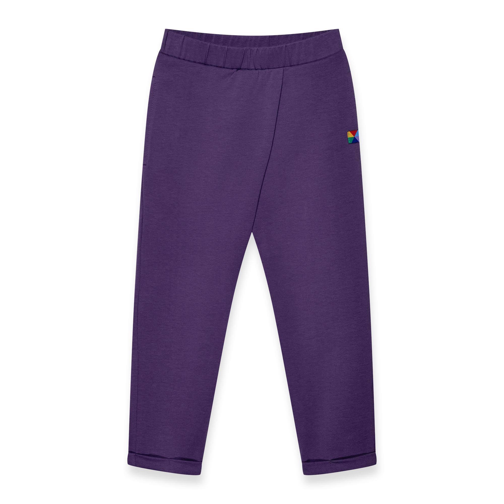 Violet pants with a pleat