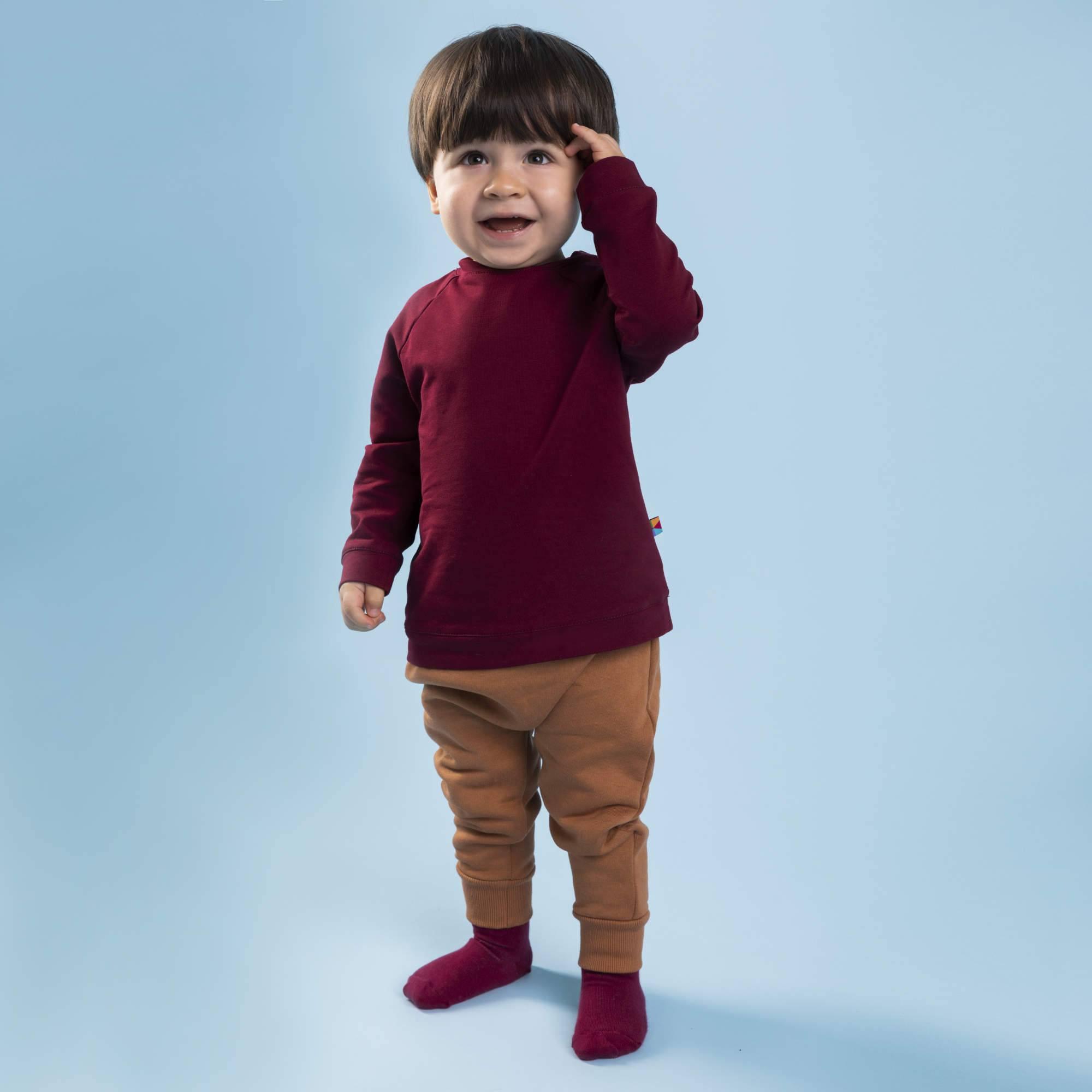 Burgundy pullover sweatshirt Baby