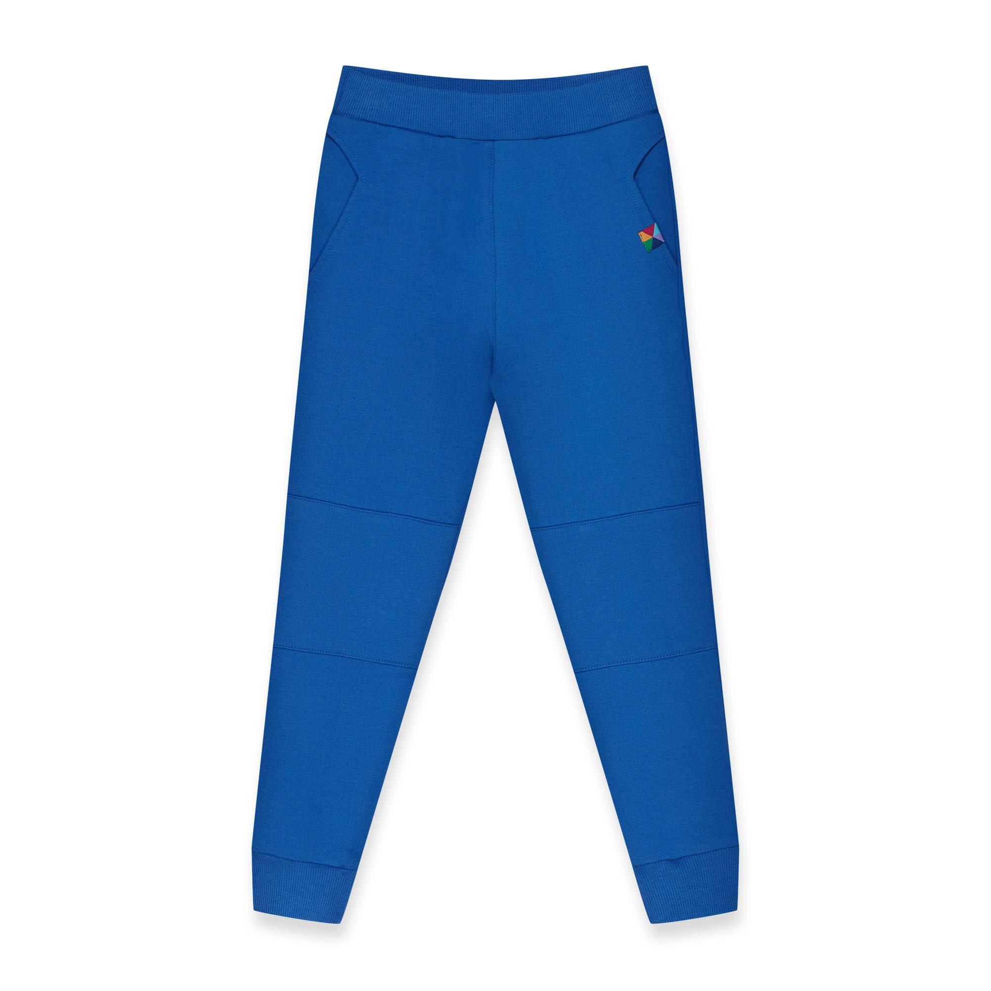 Blue reinforced pants