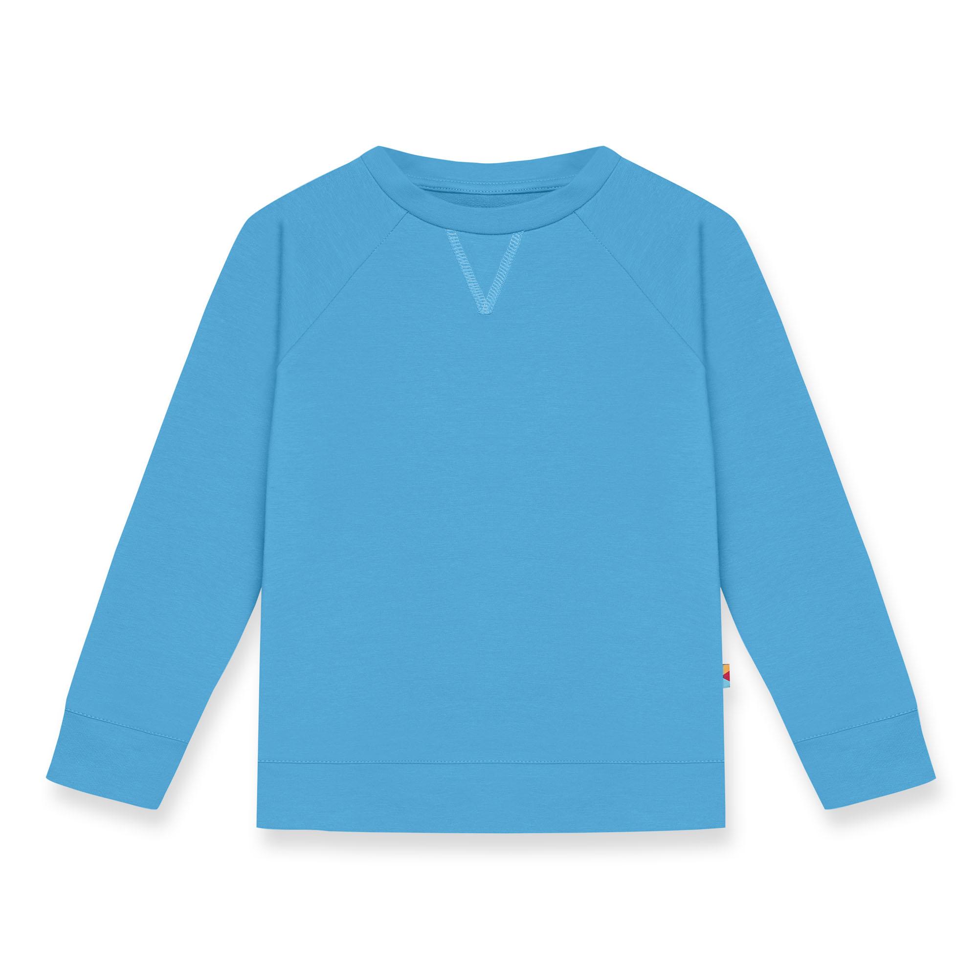 Pastel blue pullover sweatshirt