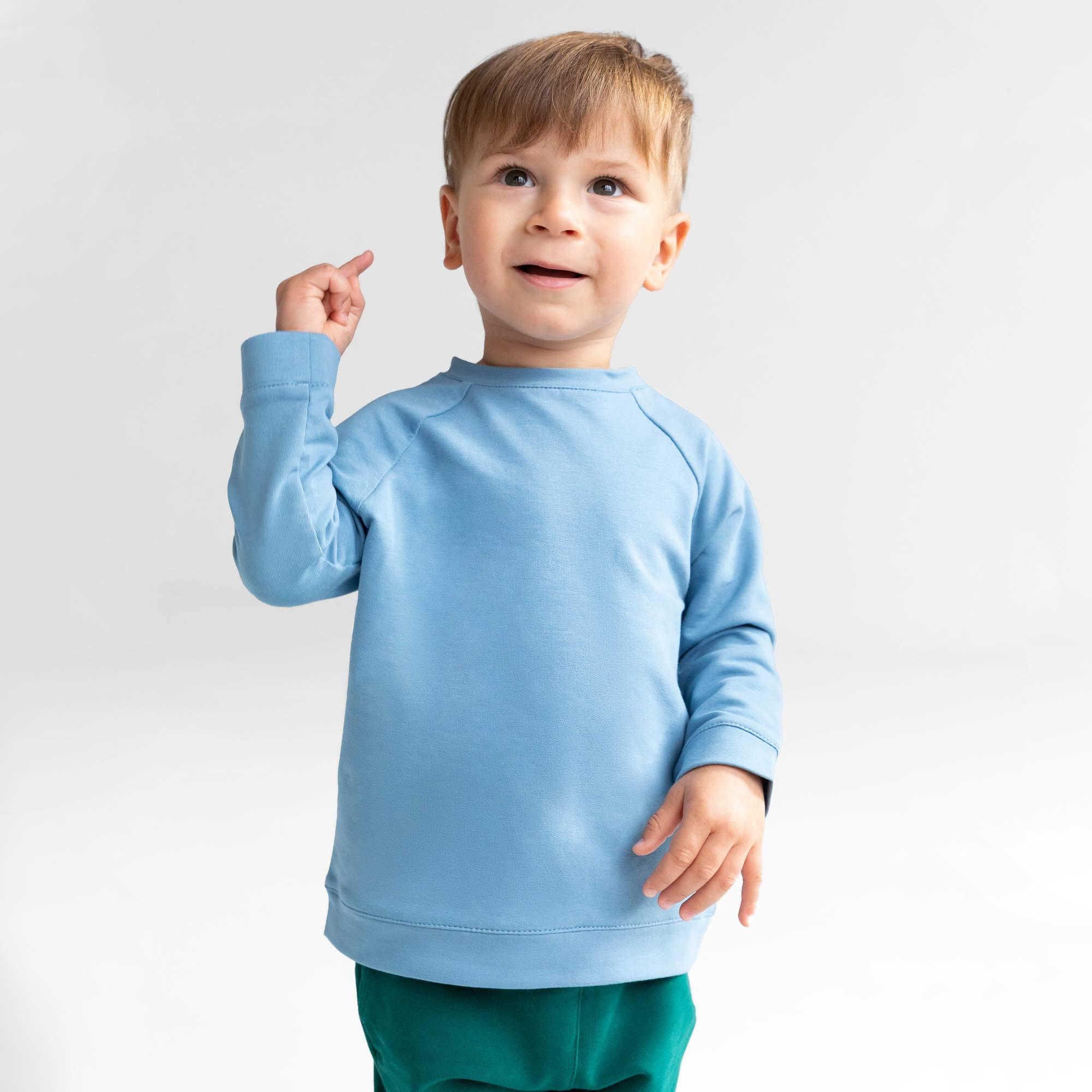 Sky blue pullover sweatshirt Baby